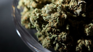 Stoner's Courtroom Defense: "I Like To Smoke While I Defecate"